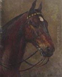 Testa Di Cavallo by Aimable Bouillier