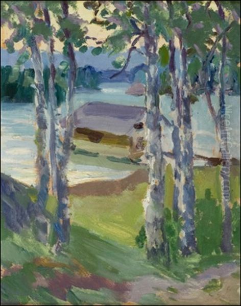 Rantakoivuja - view 1