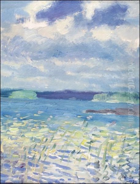 Kaislikkoa - view 1