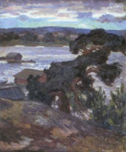 Vy Fran Lotsberget, Hogsara by Santeri Salokivi