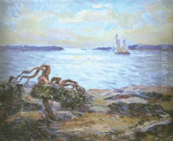 Segelbat - view 1