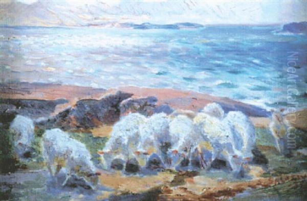 Far - view 1