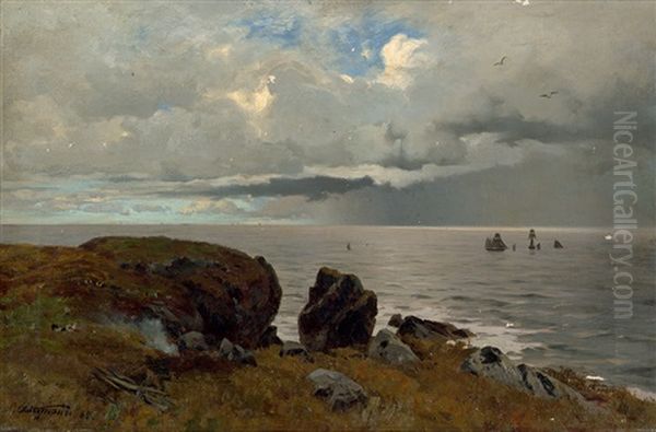 Nordische Kustenlandschaft - view 1