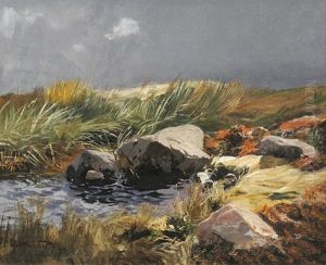 Landschaft Mit Felsigem Gewasser