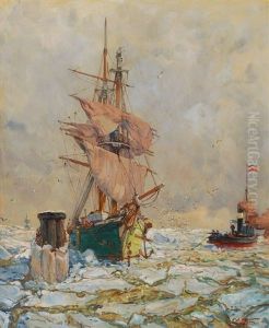 Drift Ice On The River Elbe