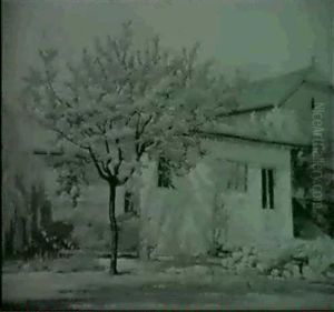 Dorfidylle Dorfidylle