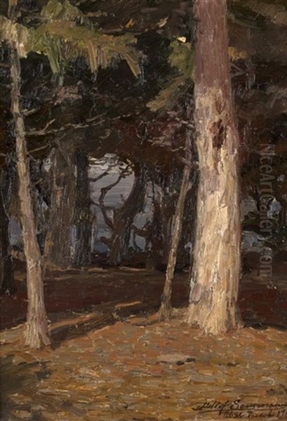 In The Depth Of The Forest - view 1