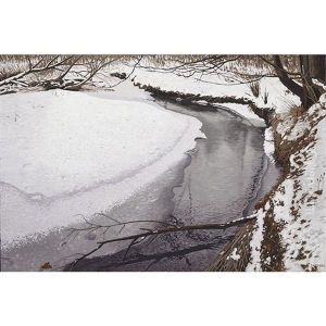 Winter Stream
