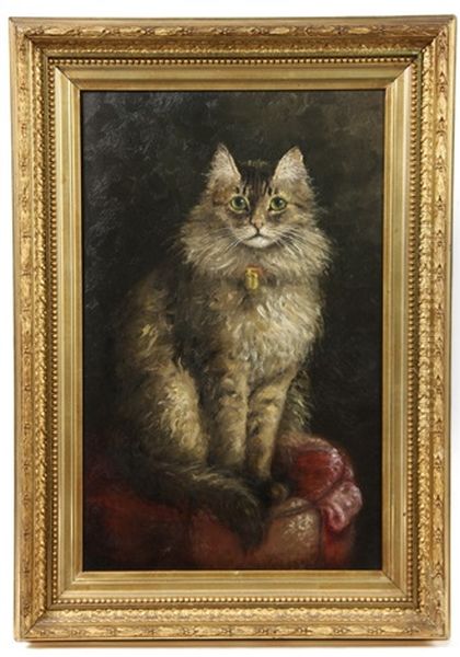 Grey Haired Cat With Bell On Collar, Seated On Tuffet - view 1