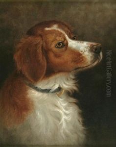 Setter Head Study Setter Head Study