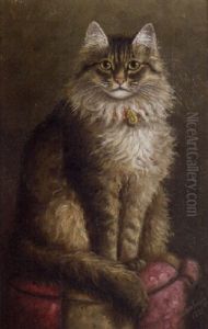 Gray Tabby On A Purple Cushion