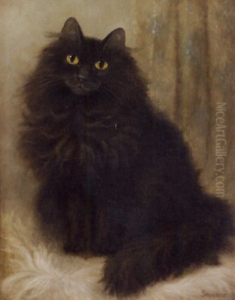 The Artist's Cat - view 1