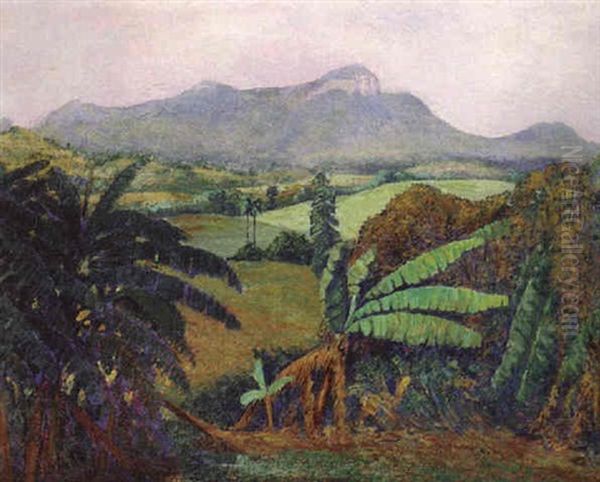 Banana Plants - view 1