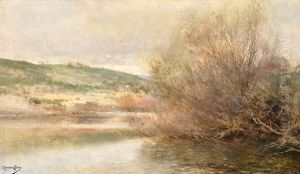 Paisaje Con Rio Y Gran Arbusto