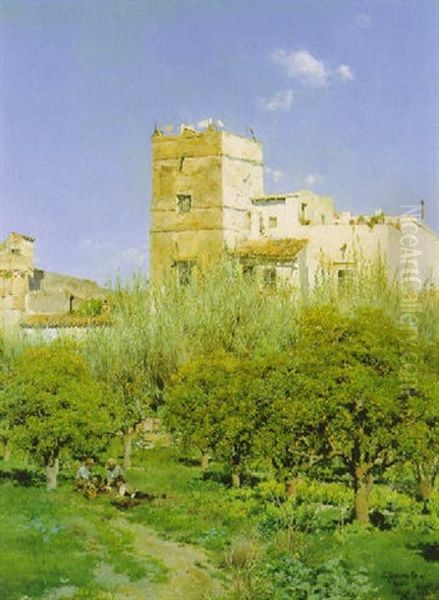 In The Orange Grove - view 1
