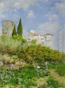 The Orange Grove, Sevilla