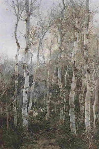 Boirch Forest - view 1