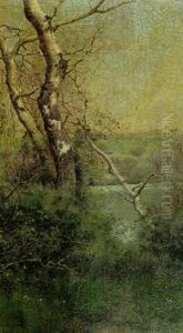 Birch In A Landscape