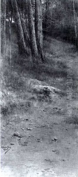 Woodland Path - view 1