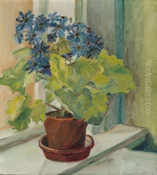 Blomster I Potte - view 1