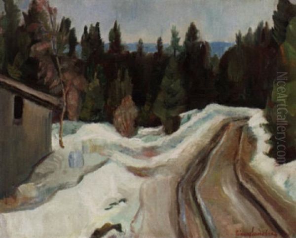 Vei Med Sne - view 1
