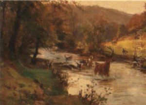 Down The Bank by John Sanderson-Wells