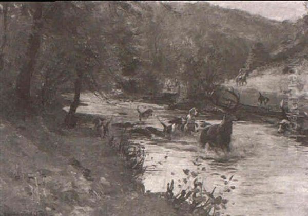 With The Devon And Somerset Staghounds - Down The Barle - view 1