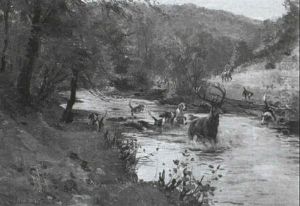 With The Devon And Somerset Staghounds - Down The Barle, Exmoor
