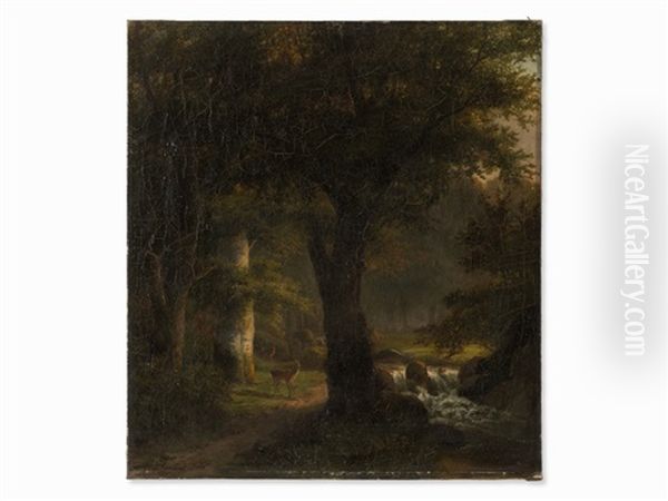 Forest Glade With Deer - view 1