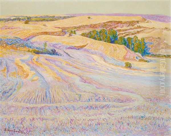 Field Patterns - view 1