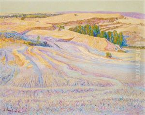 Field Patterns by Birger Sandzen