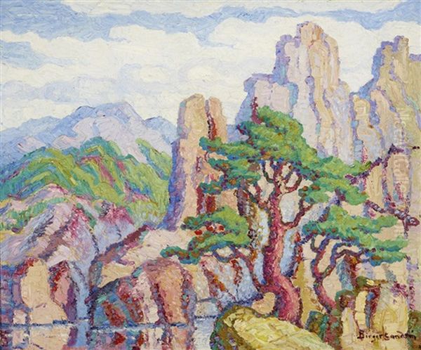 Rocks And Pines, Boulder, Colorado - view 1