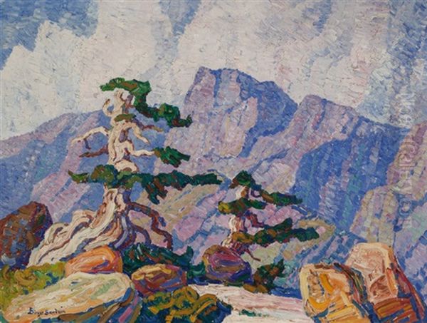 Near The Timberline, Rocky Mountains, Colorado - view 1