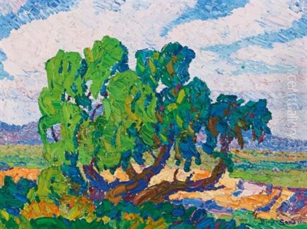 Willows, Pilar, Mcpherson County, Kansas - view 1