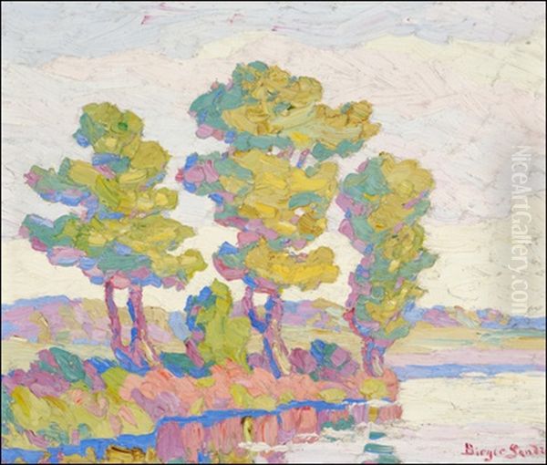 Cottonwood Trees In Autumn - view 1