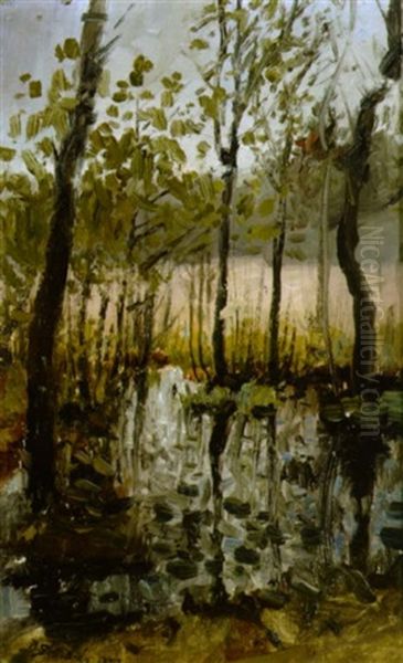 Trees Along A Quiet Stream - view 1