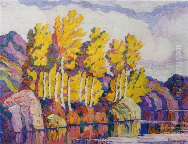 Aspens, Rocky Mountain National Park, Colorado - view 1