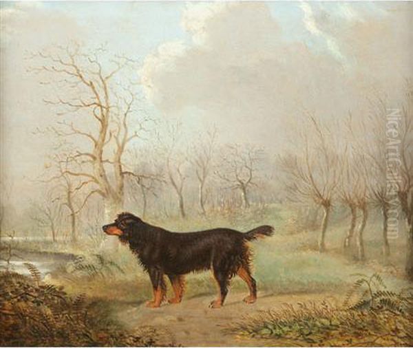 Gordon Setter In A Landscape - view 1