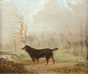 Gordon Setter In A Landscape by Augustus S. Boult