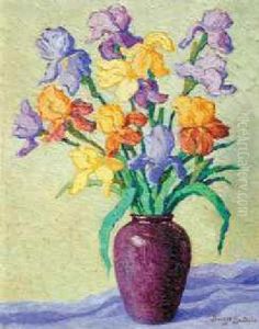 Iris