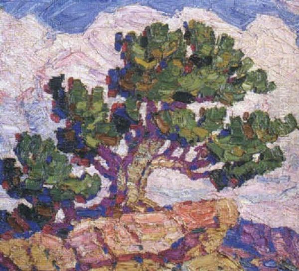 Old Cedar - view 1