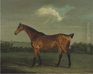 Pilgrim