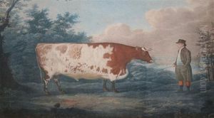 The Durham Ox