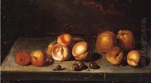 Still Life With Apples And A Snail On A Stone Ledge by Johannes Boumann