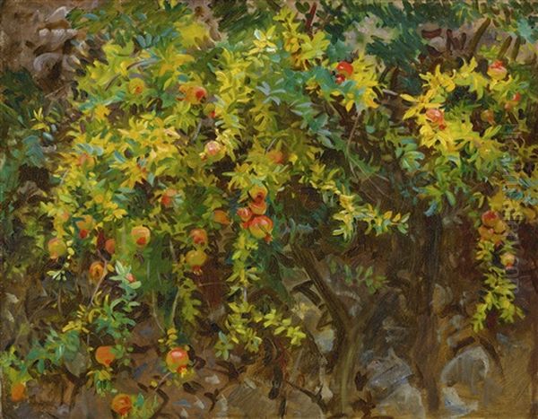 Pomegranates, Majorca - view 1