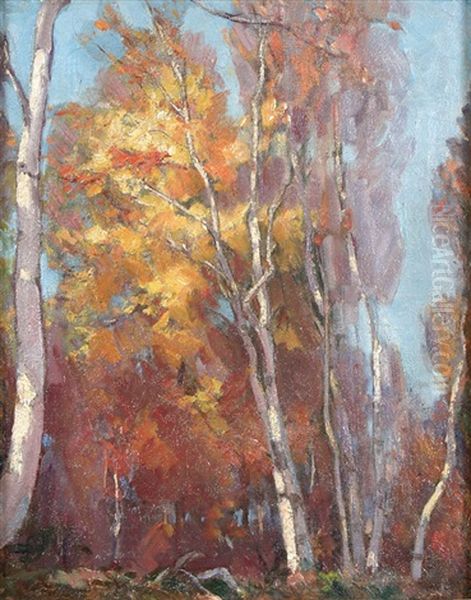 Autumn Birches - view 1