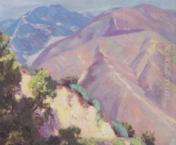 California Landscape - view 1