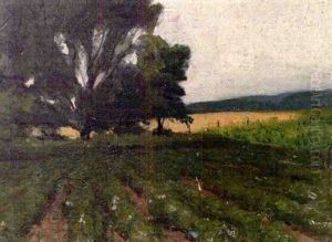 Illinois Farm