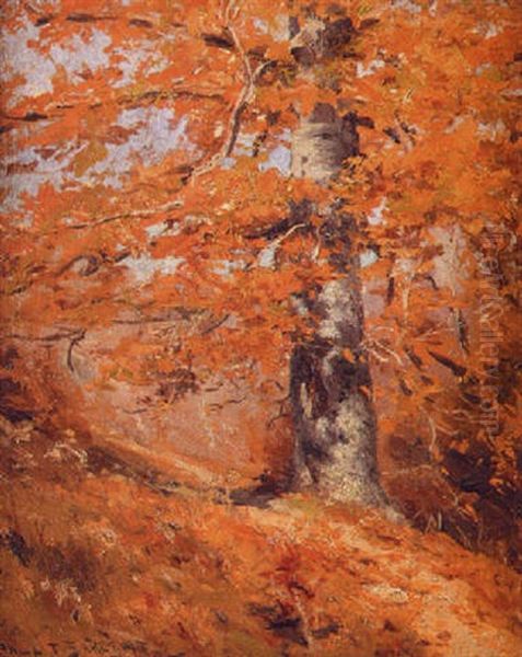 Autumn Landscape - view 1
