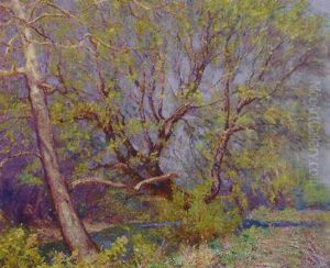 Spring Landscape